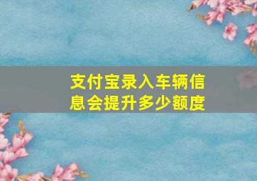 支付宝录入车辆信息会提升多少额度