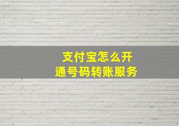 支付宝怎么开通号码转账服务