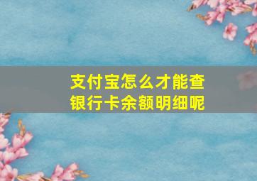 支付宝怎么才能查银行卡余额明细呢