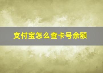 支付宝怎么查卡号余额