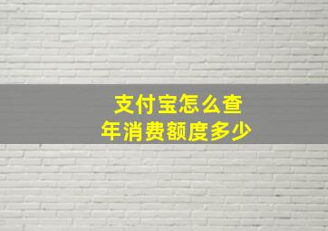 支付宝怎么查年消费额度多少