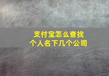 支付宝怎么查找个人名下几个公司