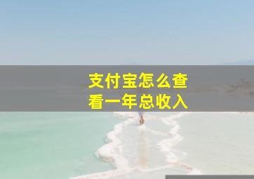 支付宝怎么查看一年总收入