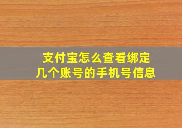 支付宝怎么查看绑定几个账号的手机号信息