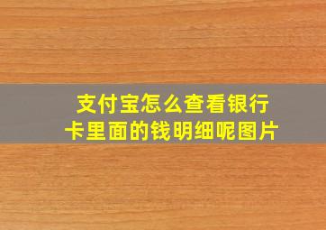 支付宝怎么查看银行卡里面的钱明细呢图片