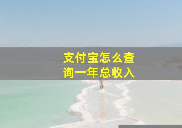 支付宝怎么查询一年总收入