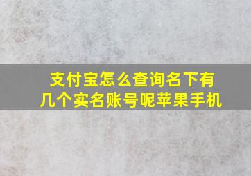 支付宝怎么查询名下有几个实名账号呢苹果手机