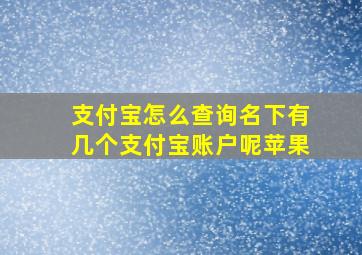 支付宝怎么查询名下有几个支付宝账户呢苹果