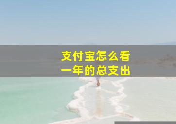 支付宝怎么看一年的总支出