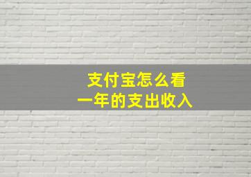 支付宝怎么看一年的支出收入