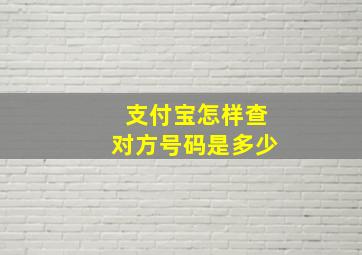 支付宝怎样查对方号码是多少