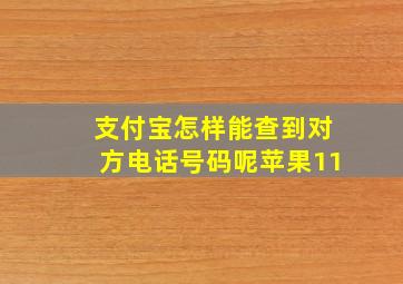 支付宝怎样能查到对方电话号码呢苹果11