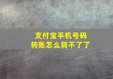 支付宝手机号码转账怎么转不了了