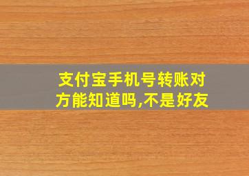 支付宝手机号转账对方能知道吗,不是好友