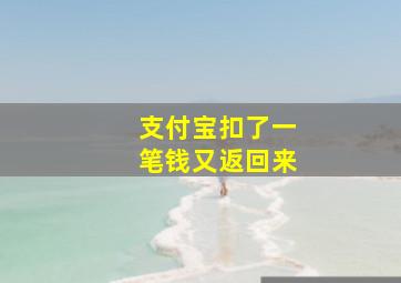 支付宝扣了一笔钱又返回来