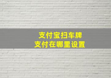 支付宝扫车牌支付在哪里设置