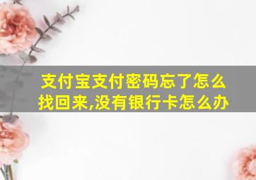 支付宝支付密码忘了怎么找回来,没有银行卡怎么办