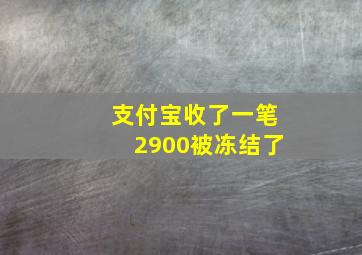 支付宝收了一笔2900被冻结了