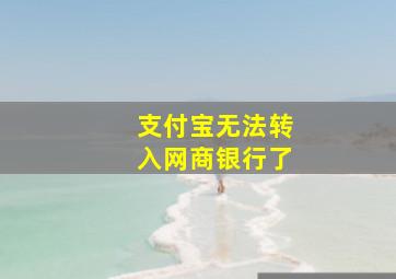 支付宝无法转入网商银行了