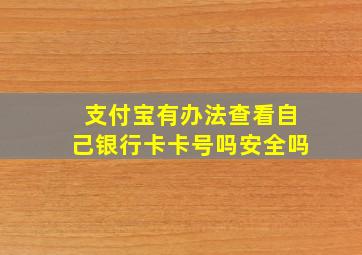 支付宝有办法查看自己银行卡卡号吗安全吗