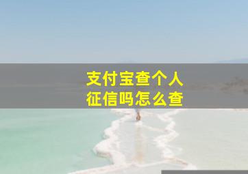 支付宝查个人征信吗怎么查