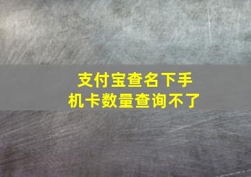 支付宝查名下手机卡数量查询不了