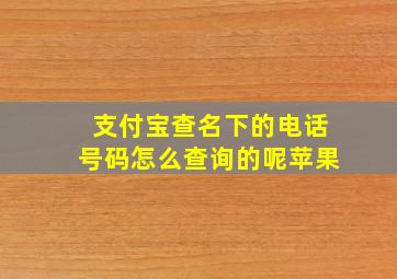 支付宝查名下的电话号码怎么查询的呢苹果