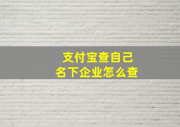 支付宝查自己名下企业怎么查