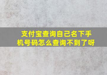 支付宝查询自己名下手机号码怎么查询不到了呀