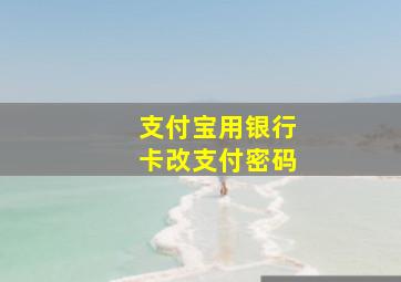 支付宝用银行卡改支付密码