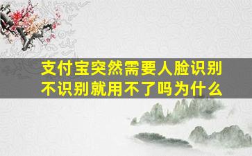 支付宝突然需要人脸识别不识别就用不了吗为什么