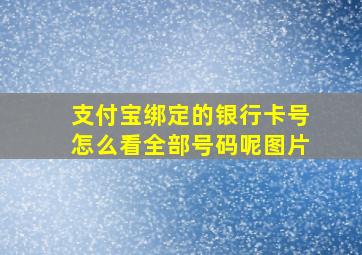 支付宝绑定的银行卡号怎么看全部号码呢图片