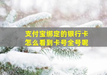 支付宝绑定的银行卡怎么看到卡号全号呢