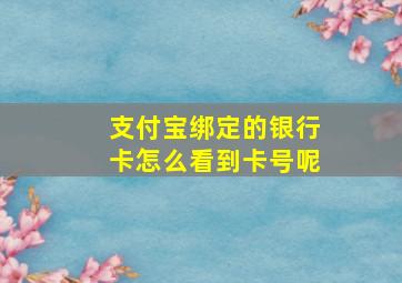 支付宝绑定的银行卡怎么看到卡号呢