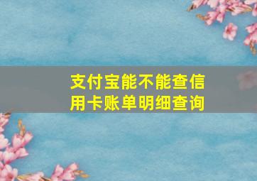 支付宝能不能查信用卡账单明细查询