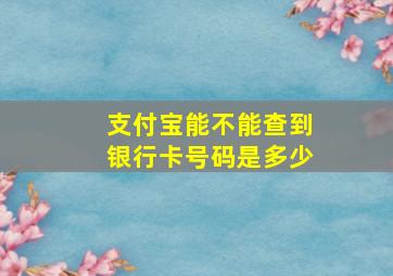 支付宝能不能查到银行卡号码是多少