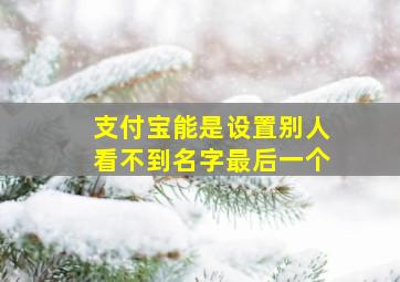 支付宝能是设置别人看不到名字最后一个