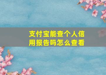 支付宝能查个人信用报告吗怎么查看