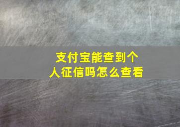 支付宝能查到个人征信吗怎么查看