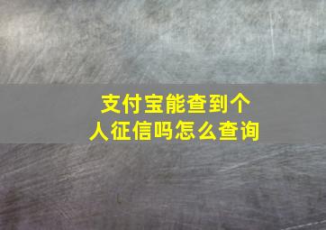 支付宝能查到个人征信吗怎么查询