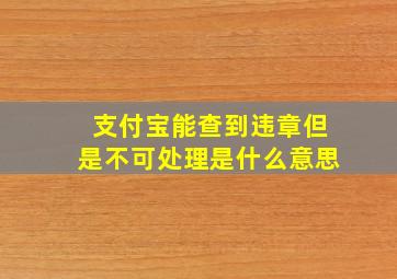 支付宝能查到违章但是不可处理是什么意思