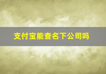 支付宝能查名下公司吗