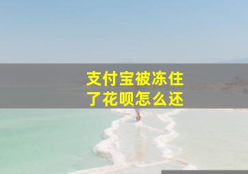 支付宝被冻住了花呗怎么还