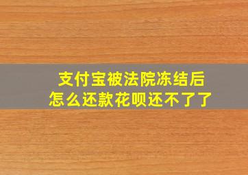 支付宝被法院冻结后怎么还款花呗还不了了