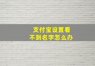 支付宝设置看不到名字怎么办