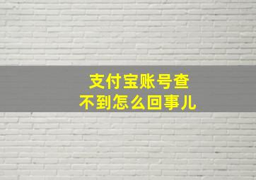 支付宝账号查不到怎么回事儿