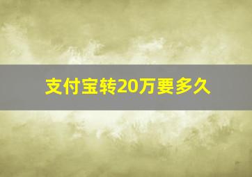 支付宝转20万要多久