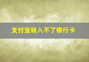 支付宝转入不了银行卡