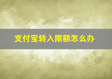 支付宝转入限额怎么办