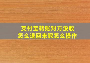 支付宝转账对方没收怎么退回来呢怎么操作